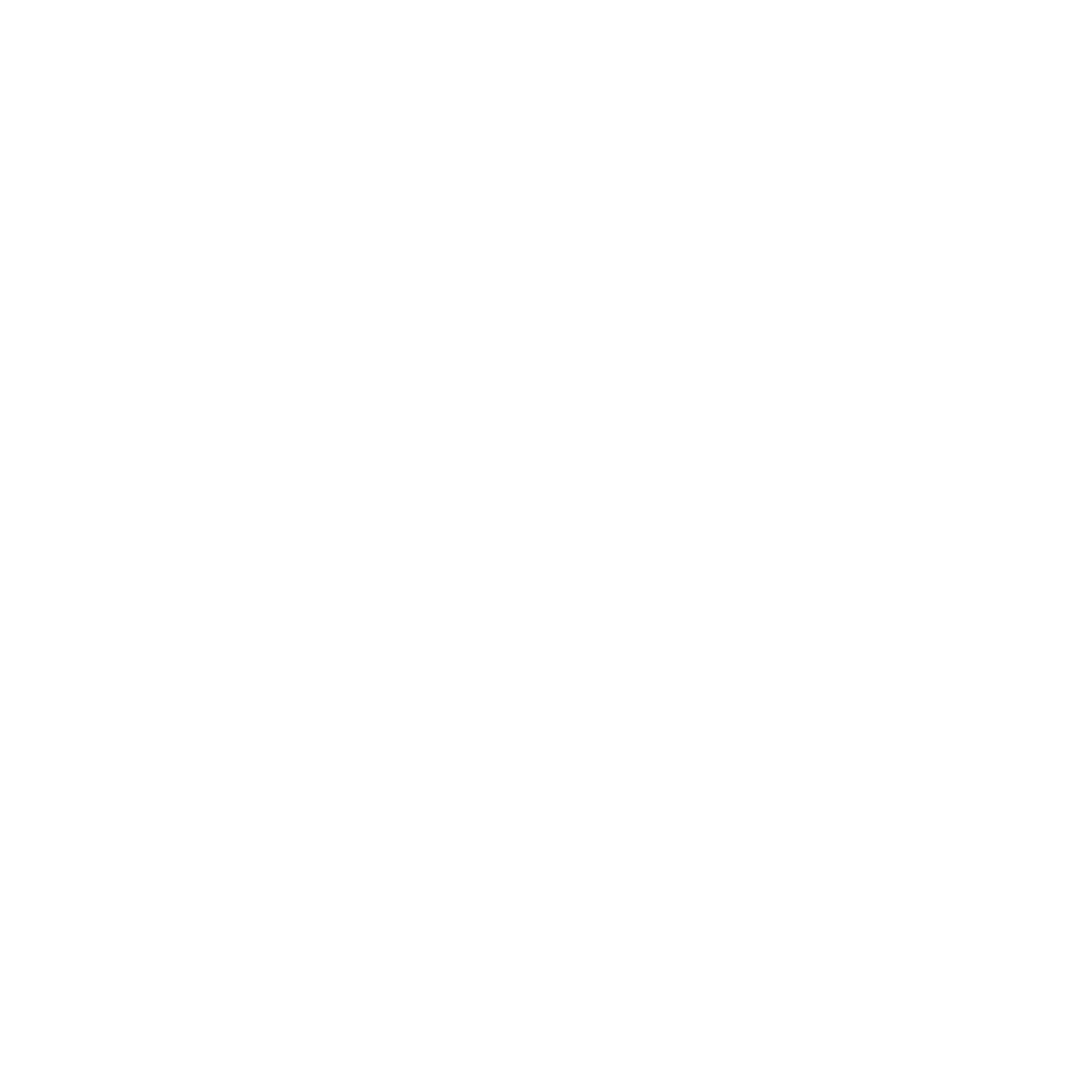 Acampada Jove